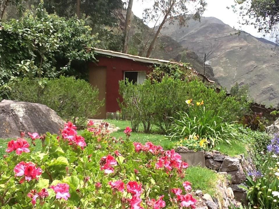 La Casa Del Conde Panzió Pisac Kültér fotó